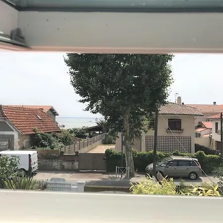 Nikita *